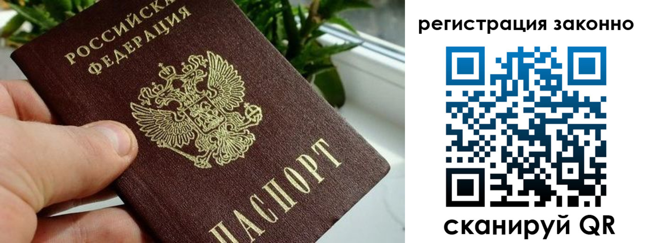 прописка гарантия в Сухиничи